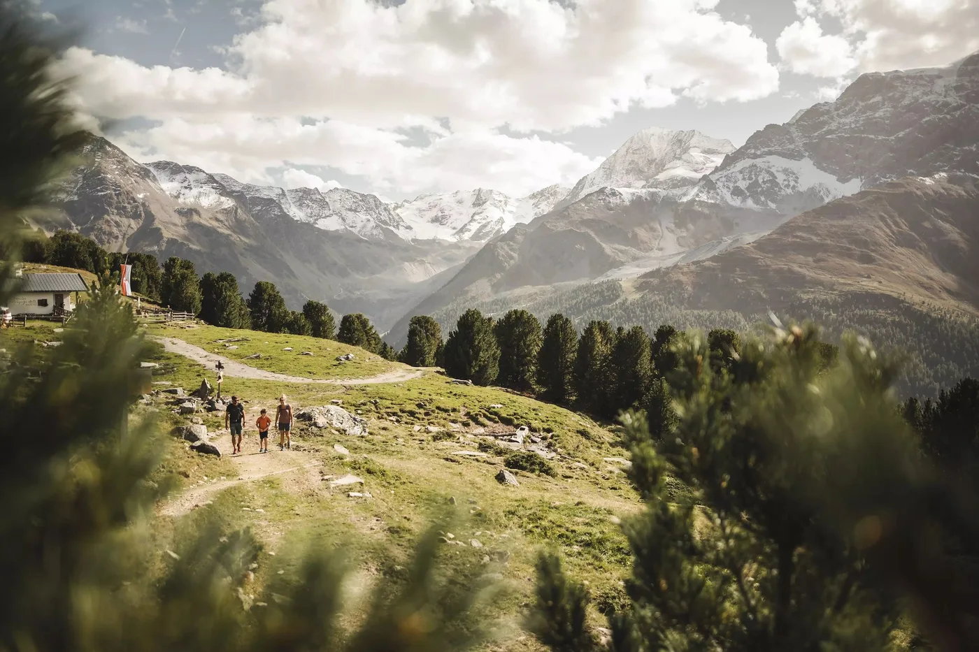 Wanderer auf einem Almweg zwischen Zirben, dahinter die vergletscherten Berge